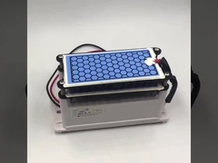 নির্মাতা সিই সার্টিফিকেশন নতুন ওজোন জেনারেটর 10g ডাবল সিরামিক প্লেট দীর্ঘ জীবন ওজোন অংশ